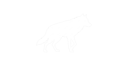 Protect your hands with Songard boxing wraps